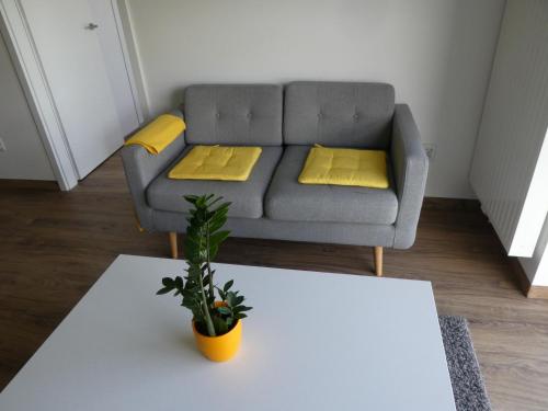 a living room with a grey couch with yellow pillows at Cube Apartamenty in Lublin
