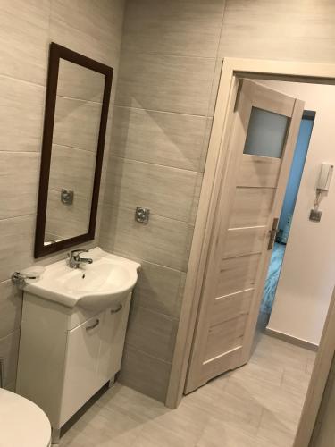 a bathroom with a sink and a mirror at Noclegi ANNI in Będzin