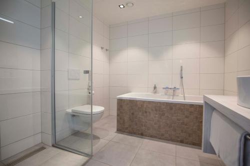 ein Bad mit einer Dusche, einem WC und einem Waschbecken in der Unterkunft Fletcher Hotel-Restaurant Het Veerse Meer in Arnemuiden
