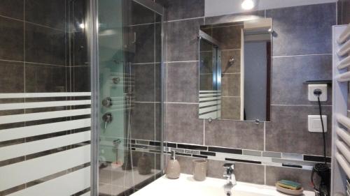 une salle de bain avec un lavabo et un miroir dans l'établissement Maison Centre Ville Parking privé, à Ax-les-Thermes