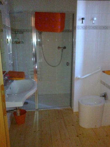 a bathroom with a shower and a sink at Country House Salomè in Musile di Piave