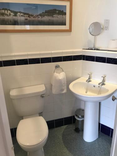 a bathroom with a toilet and a sink at Bay View Guest House in Beer
