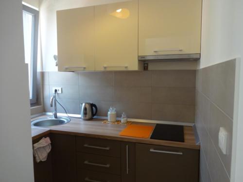 een keuken met een wastafel en een aanrecht bij Natalija Twister Apartment in Budva