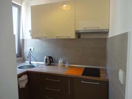 Kuchyň nebo kuchyňský kout v ubytování Nataliia Twister Apartment