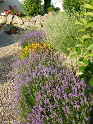 Zahrada ubytování Splendide vue Pyrénées, Rez de jardin 2 chambres