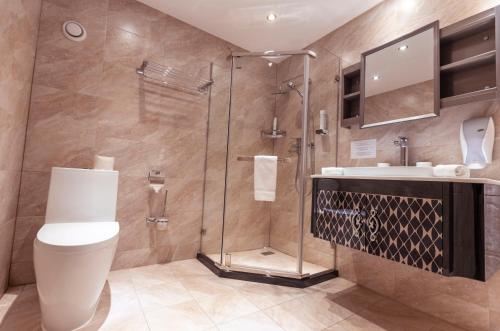 a bathroom with a shower and a toilet and a sink at Pensiunea Himalaya in Dărmăneasca