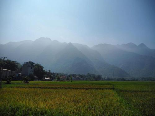 a field of grass with mountains in the background at Cò's House in Mai Chau