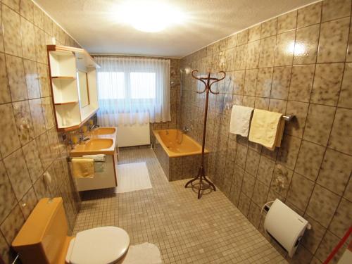 ein Bad mit einem WC und einem Waschbecken in der Unterkunft Apart Adele in Arzl im Pitztal