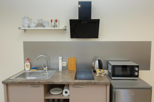 Domina في فيلنيوس: طاولة مطبخ مزودة بحوض وميكروويف