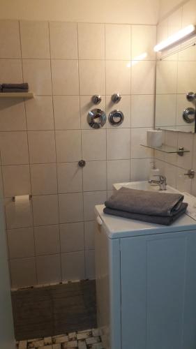 a bathroom with a shower and a sink at Business Apartment in Weil am Rhein in Weil am Rhein