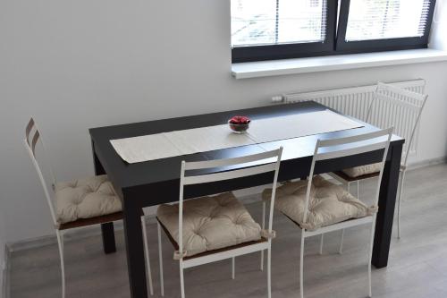 Fotografie z fotogalerie ubytování Apartmany U Letiste v destinaci Pardubice
