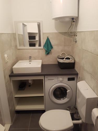 a bathroom with a sink and a washing machine at Apartment MARI in Ostrvica