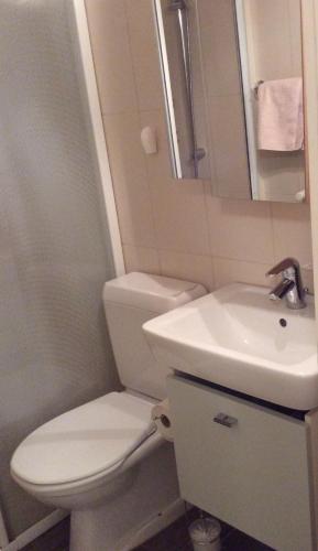 a bathroom with a white toilet and a sink at Le Président 2 in Sierre