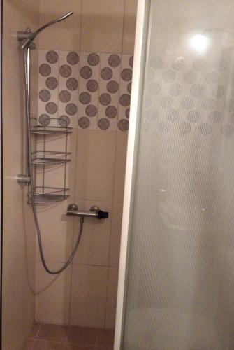 a shower with a glass door in a bathroom at Le Président 2 in Sierre