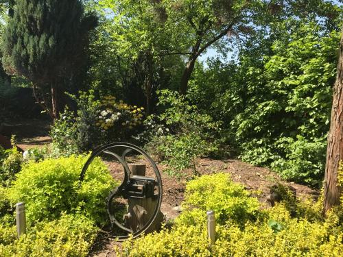 a garden with a metal object in the bushes at SKRZAT in Tumlin