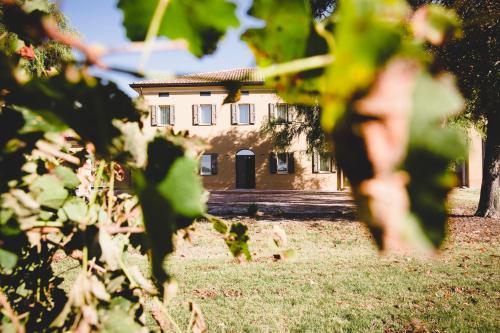 Zahrada ubytování Agriturismo Vitae