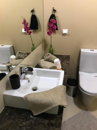 a bathroom with a sink and a toilet at Lou-Jos in Funchal