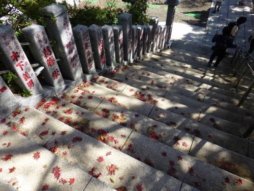 a person walking down a sidewalk with red leaves on the ground at Kageyu in Isehara