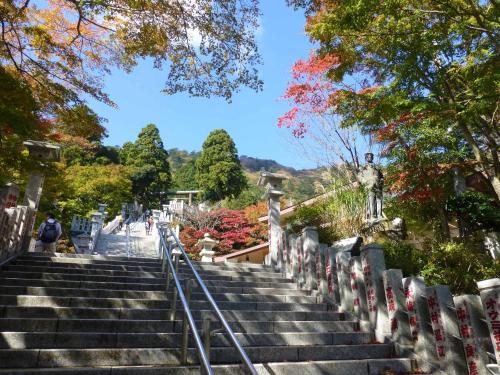 a set of stairs in a park with trees at Kageyu in Isehara