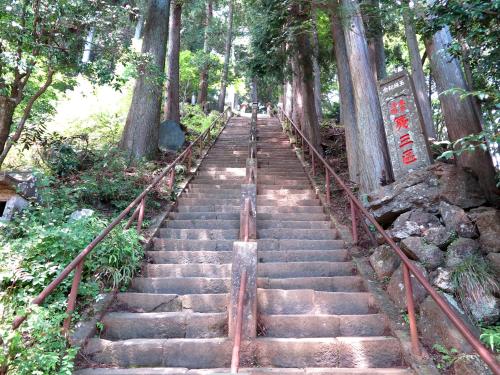 a set of stairs in a park with trees at Kageyu in Isehara