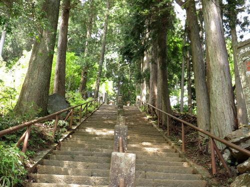 a set of stairs in a forest with trees at Togakubo in Isehara