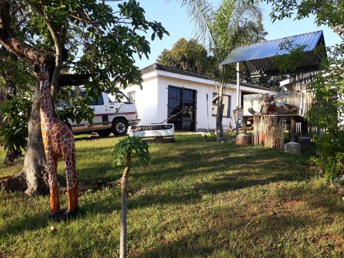 a giraffe standing in a yard next to a house at Thula Du Estate - one bed apartment in Mbabane