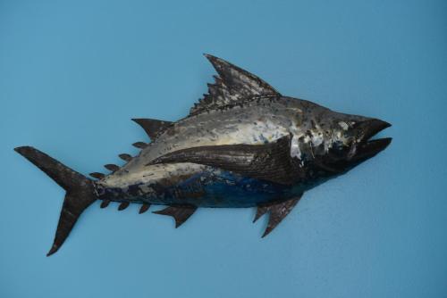 a fish that is laying on the ground at studio "BLEU TURQUOISE" in Le Gosier
