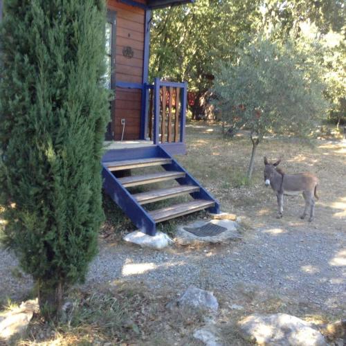 a deer standing in front of a cabin at Suite Nid d'Amour et Spa privatif in Vogüé
