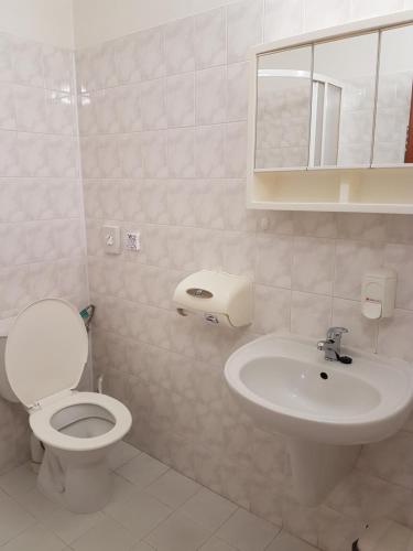 a white bathroom with a toilet and a sink at Zámecký Penzion in Valašské Meziříčí