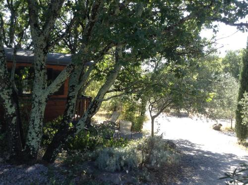 a log cabin with a bench next to some trees at Suite Nid d'Amour et Spa privatif in Vogüé