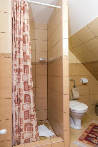 a bathroom with a toilet and a shower curtain at Casa Richter- Check-in Independent in Sighişoara