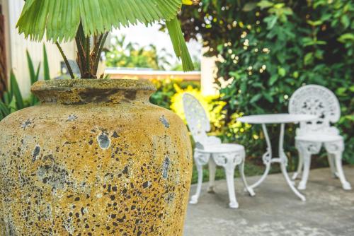 a large vase with a plant in it with chairs and a table at The Cooks Oasis in Rarotonga