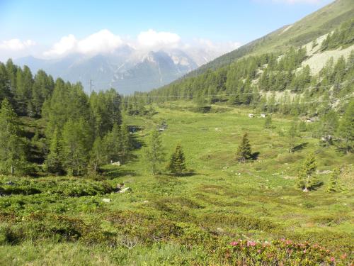 a green field with trees and mountains in the background at Romantiche Orobie B&B in Bordogna