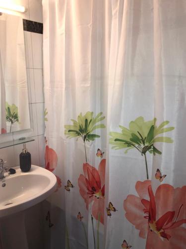 a bathroom with a sink and a shower curtain with flowers at FB 58 Confort in Pas de la Casa