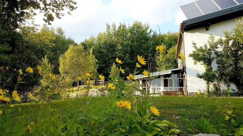 Κήπος έξω από το Ferienhaus Mauth