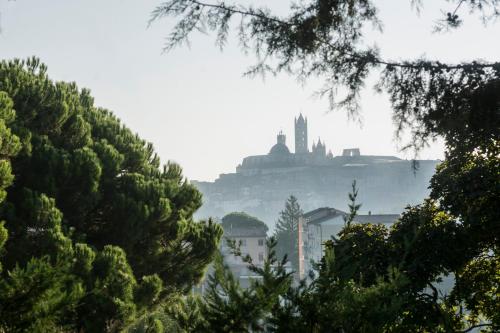 vistas a un castillo en una colina con árboles en Borgo Villa Risi, en Siena