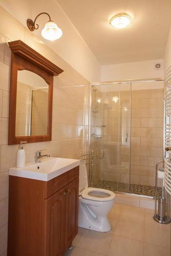a bathroom with a toilet and a sink and a shower at Wekler Családi Pincészet és Panzió in Mecseknádasd