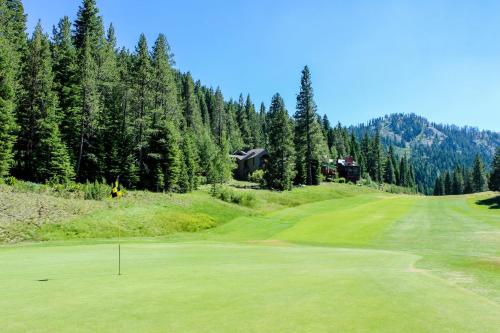 Golf v apartmánu nebo okolí
