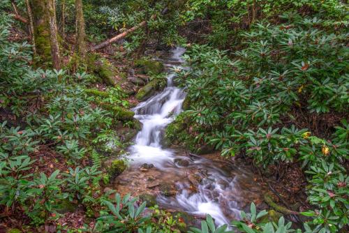 Up the Creek Home – Photos 3