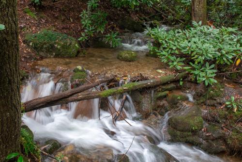 Creekside – Photos 3