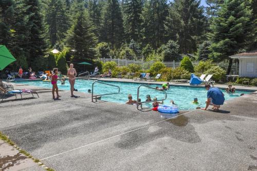 eine Gruppe von Menschen, die in einem Schwimmbad spielen in der Unterkunft Thunderbird Studio Cabin 4 in Monroe
