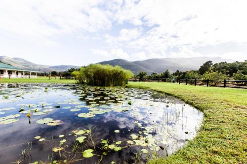 a pond with lily pads in a field at Valmont Estate in Plettenberg Bay