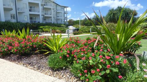 SaltBeach2302 – Photos 4
