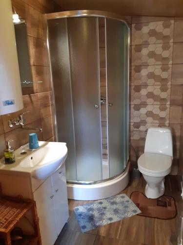 a bathroom with a shower and a toilet and a sink at Drevenica Talia in Liptovský Mikuláš