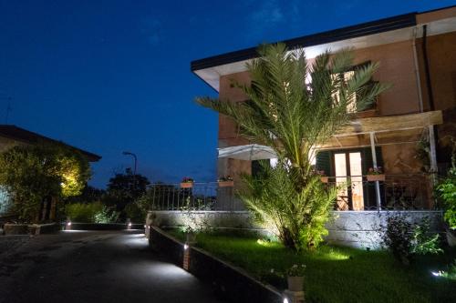 a building with a palm tree in front of it at night at UP&B Rooms Catania in Mascalucia