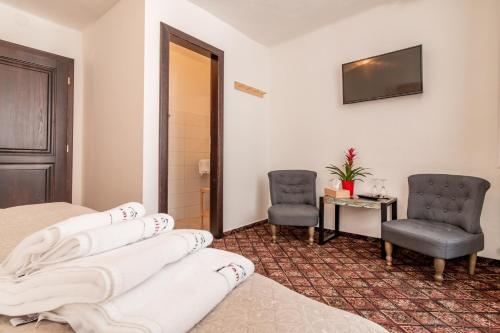 捷克克魯姆洛夫的住宿－家庭旅館，客房设有两张床、一把椅子和电视。