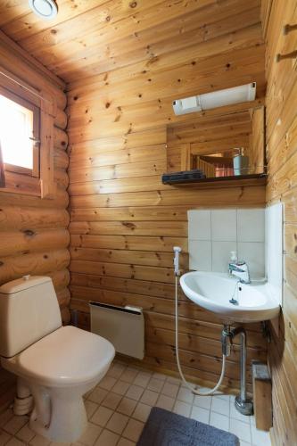 a bathroom with a toilet and a sink at Villa Omena at MESSILA ski & camping in Hollola