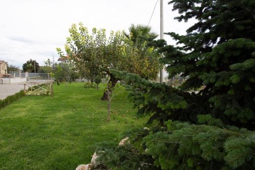 a group of trees in a yard with grass at La Casa del Gelso Fiorito in Eboli