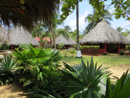 a group of huts with palm trees and plants at Paraiso Beach Hotel in Big Corn Island