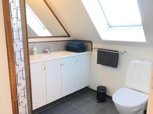 baño con lavabo y aseo con tragaluz en Rødkærgård Bed&Breakfast en Kerteminde